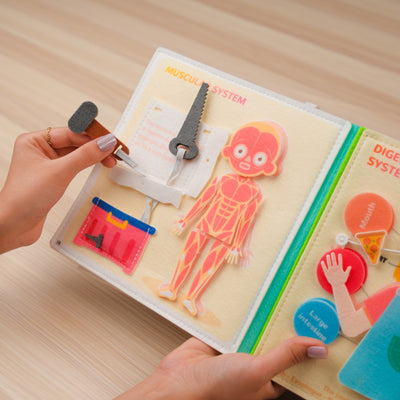 Human Anatomy Quiet Book for Kids – for homeschooling, Montessori learning, travel, and quiet