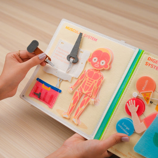 Human Anatomy Quiet Book for Kids – for homeschooling, Montessori learning, travel, and quiet