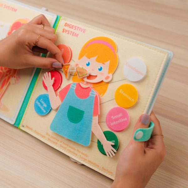 Human Anatomy Quiet Book for Kids – lightweight and portable design makes it easy
