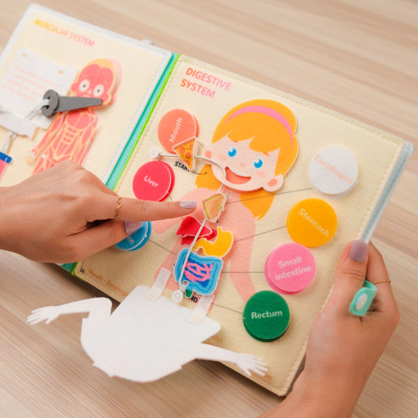 Human Anatomy Quiet Book for Kids – for curious young learners who love to