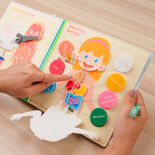 Human Anatomy Quiet Book for Kids – for curious young learners who love to