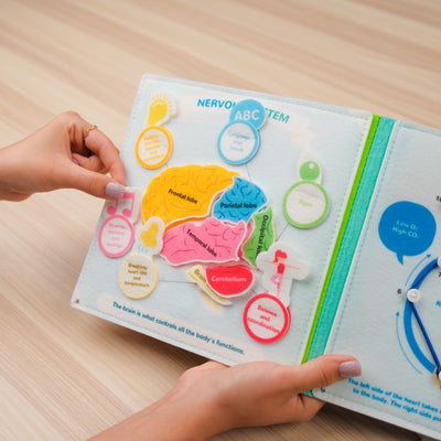 Human Anatomy Quiet Book for Kids – Imaginative Play and Exploration