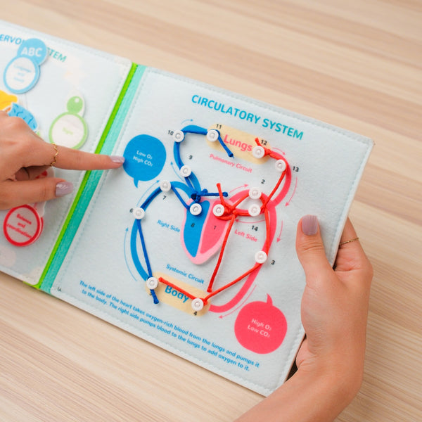 Human Anatomy Quiet Book for Kids – Develop Hand-Eye Coordination