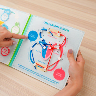 Human Anatomy Quiet Book for Kids – Develop Hand-Eye Coordination