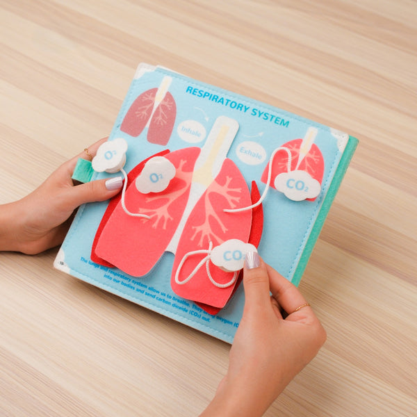 Human Anatomy Quiet Book for Kids – Fun Learning Activities at Home