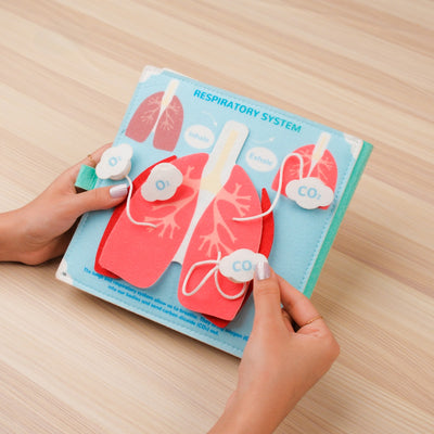 Human Anatomy Quiet Book for Kids – Fun Learning Activities at Home